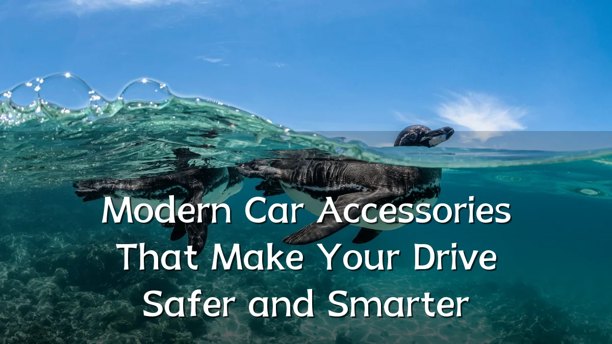 Modern Car Accessories That Make Your Drive Safer and Smarter